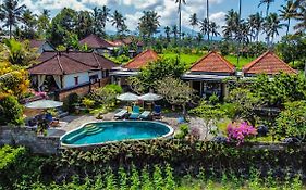 Dana Bali Ricefield Villa