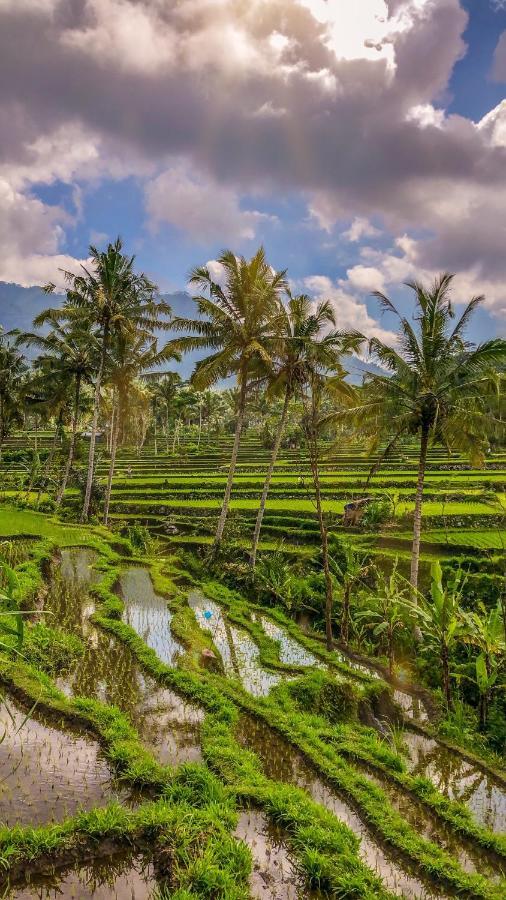 Dana Bali Ricefield Villa Candidasa Exterior foto