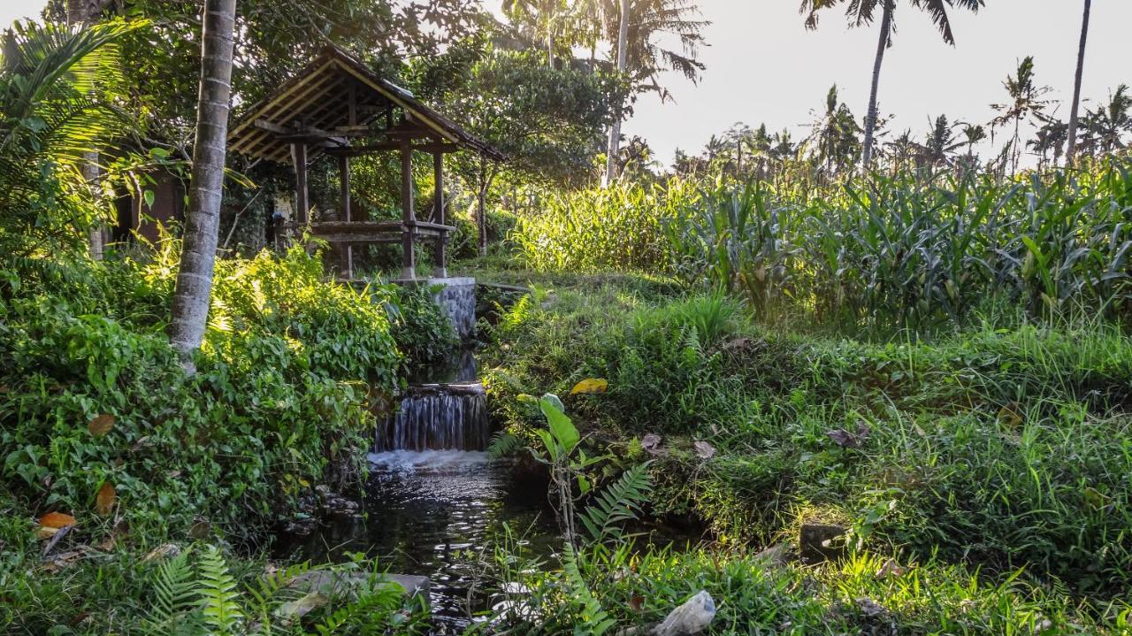Dana Bali Ricefield Villa Candidasa Exterior foto