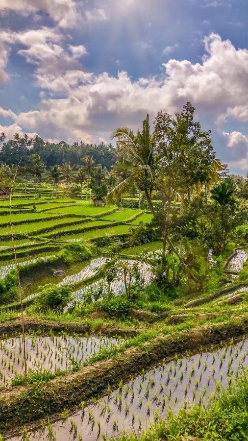 Dana Bali Ricefield Villa Candidasa Exterior foto